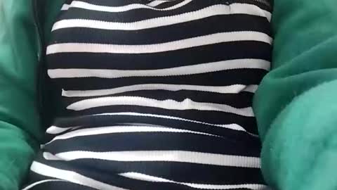 jasspreettt online show from November 23, 4:10 am