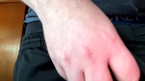 Jaws  online show from December 30, 8:04 pm