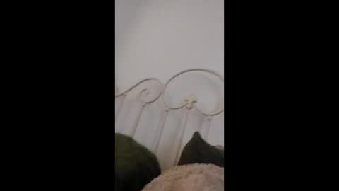 jay760185 online show from February 20, 10:17 am