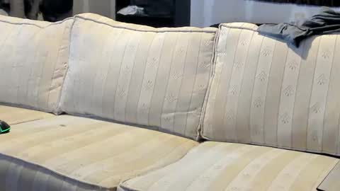 O F   jay short786 online show from September 26, 6:49 pm