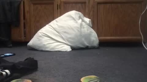 Jaylikes269fans online show from February 24, 8:01 pm