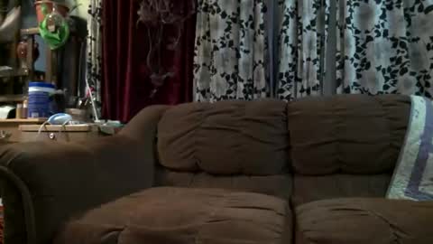 Snapshot of jazzmcjames chatting on September 29, 4:00 am jazzmcjames online show from September 29, 4:00 am