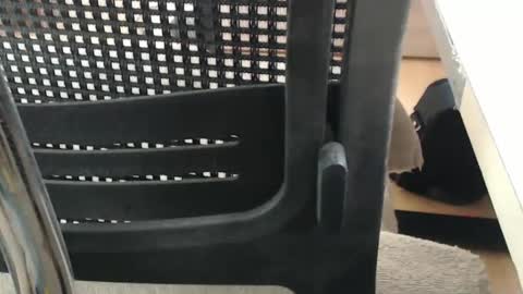 jc200000 online show from April 16, 5:24 pm