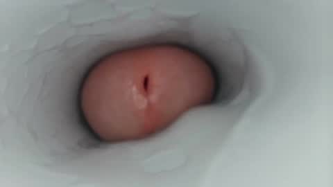 jeffrodgerschaturbat online show from January 14, 3:03 am