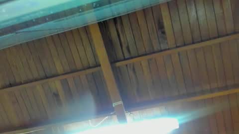 Snapshot of jeicob_gagnon chatting on September 15, 1:51 am jeicob gagnon online show from September 15, 1:51 am