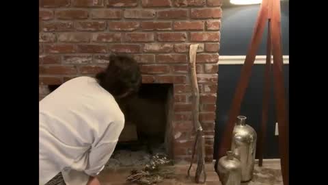 Jelli online show from April 27, 10:57 am