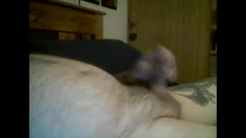 Snapshot of jerkmate6666 chatting on October 16, 3:39 am jerkmate6666 online show from October 16, 3:39 am