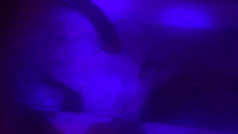 Jessica online show from February 8, 10:07 am