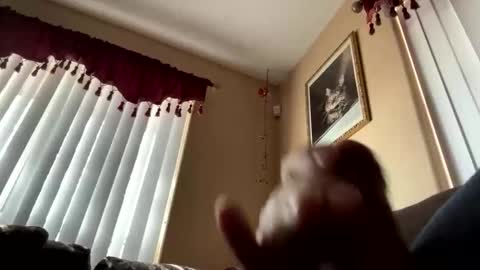 jj350ss online show from November 20, 5:10 pm