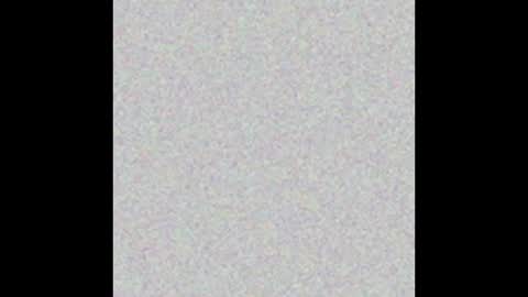 JBaraca online show from November 1, 1:43 pm