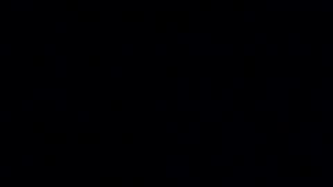 Dubppl online show from December 21, 1:06 pm