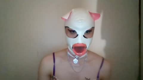 joanna553207 online show from July 25, 6:50 pm