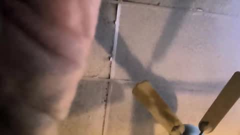 jojobrauer online show from November 20, 9:19 am