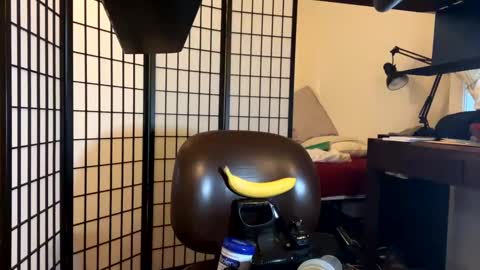 jondoe3657 online show from January 23, 3:58 am