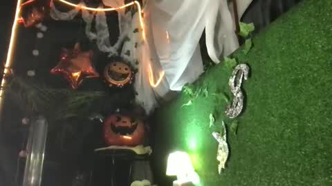 Jony Marta GMT 2000-0100 every day online show from November 2, 11:38 pm