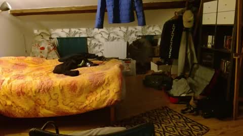 John online show from February 26, 10:58 pm