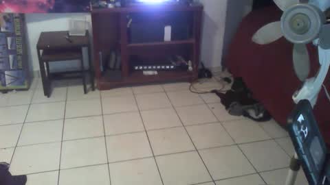 h0rny c0wb0y online show from September 17, 4:16 am