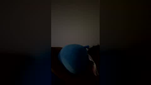 joshua_b11 online show from March 28, 6:48 am