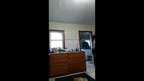 jrj3333 online show from February 25, 11:41 pm