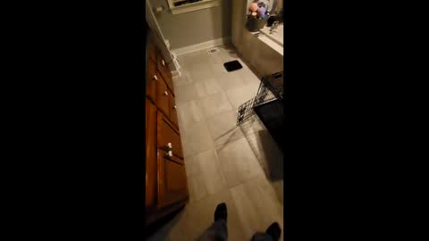 jst33456 online show from November 20, 2:54 am