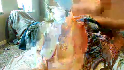 judaorange online show from September 22, 1:37 pm