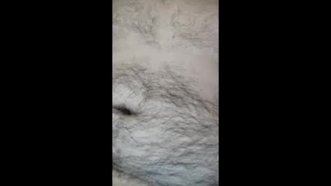 juegopromax707909 online show from April 27, 11:08 am