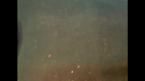 juicycuntx online show from February 6, 10:51 am