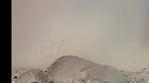 Snapshot of julyanarains chatting on October 24, 9:32 am Julyana online show from October 24, 9:32 am