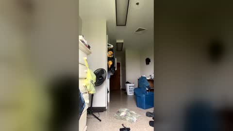 junosphboi online show from April 3, 3:30 pm