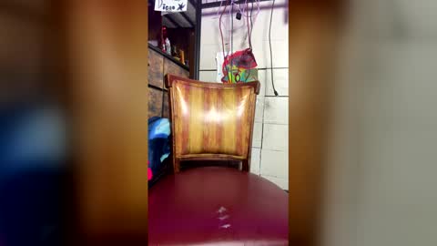 kalimorrison online show from March 10, 8:13 pm