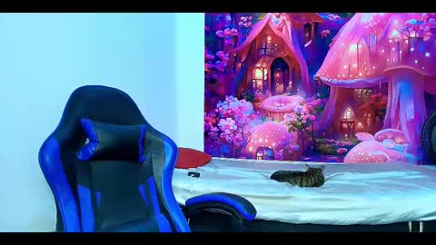    online show from October 23, 10:06 am