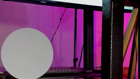 Kate  online show from November 27, 11:29 am