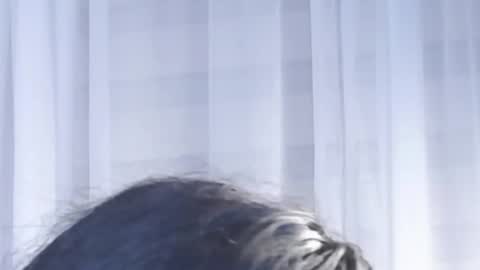 Help me with rate thanks  online show from November 18, 4:15 am