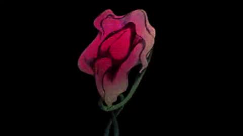 katsuro online show from November 19, 10:19 pm