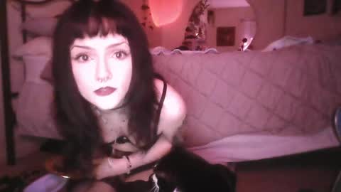 kattattacck online show from May 30, 7:07 am