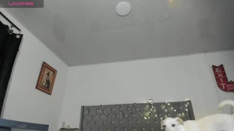 kattyrossg online show from June 11, 7:56 pm