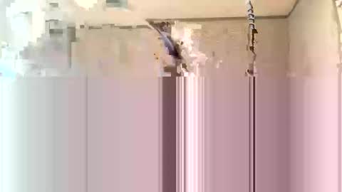 Kaybabyishornyy online show from January 19, 4:55 am