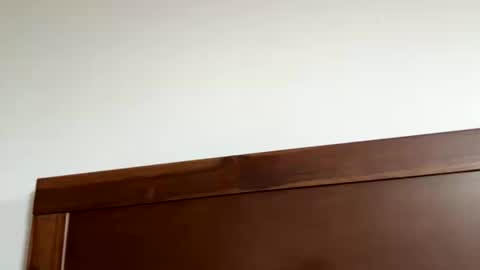 kcdad0001 online show from September 20, 1:36 pm