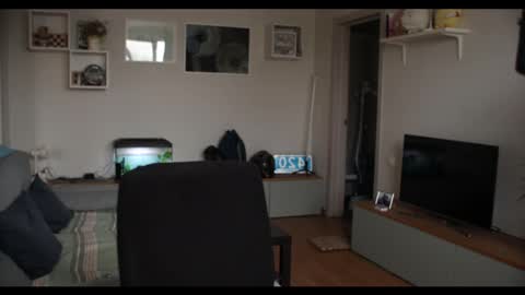 Snapshot of kevin_park chatting on February 17, 12:05 pm Kev online show from February 17, 12:05 pm