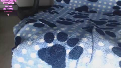 Kevin online show from November 16, 3:08 am