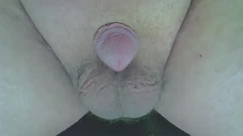 maggot online show from February 26, 10:46 pm