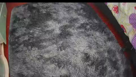 Keyla online show from February 20, 2:44 am