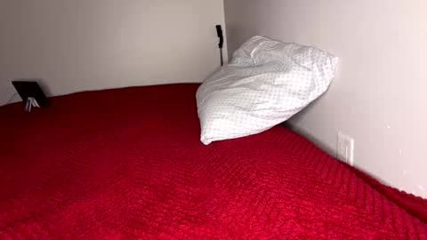 HunneysPlayRoom online show from January 18, 11:30 am