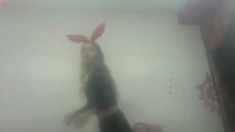 YENCYYY online show from December 1, 7:45 pm