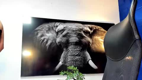 Angel Falconer online show from November 28, 3:36 am