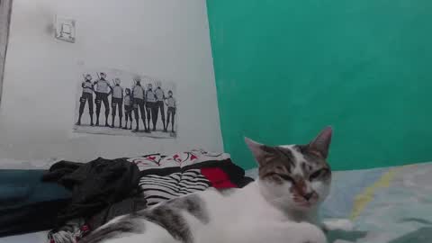 Snapshot of king_russo chatting on October 14, 4:04 am king_russo online show from October 14, 4:04 am