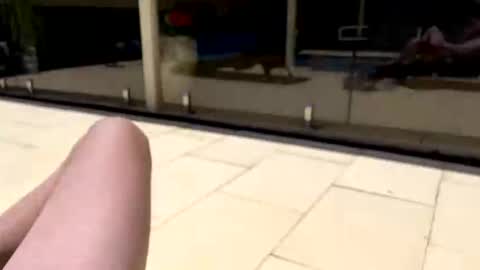 Aussie lad online show from December 5, 3:17 am