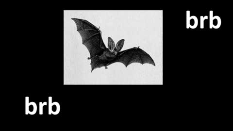 meow online show from July 23, 12:36 pm