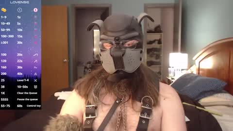 Snapshot of kinkywolf87 chatting on February 3, 6:39 pm kinkywolf87 online show from February 3, 6:39 pm