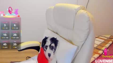 kisssnicol online show from January 18, 6:06 pm